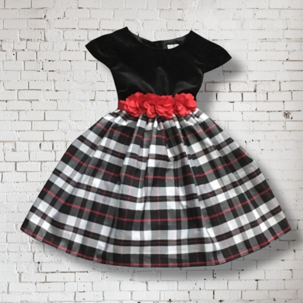 ❤️ Sweet Heart Rose Plaid Dress - Picture 1 of 9